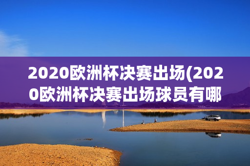 2020欧洲杯决赛出场(2020欧洲杯决赛出场球员有哪些)