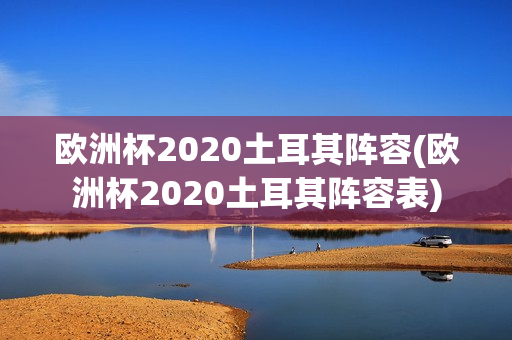 欧洲杯2020土耳其阵容(欧洲杯2020土耳其阵容表)