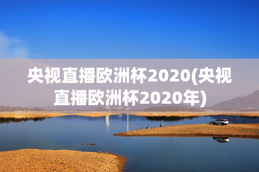 央视直播欧洲杯2020(央视直播欧洲杯2020年)