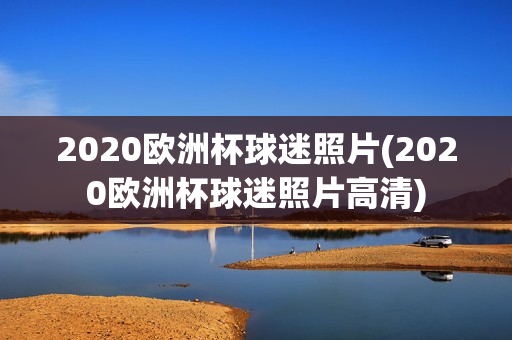 2020欧洲杯球迷照片(2020欧洲杯球迷照片高清)