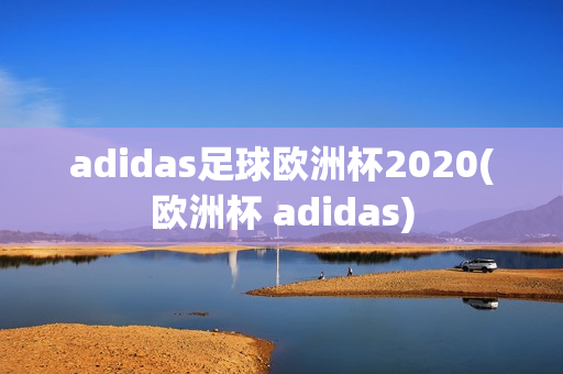 adidas足球欧洲杯2020(欧洲杯 adidas)