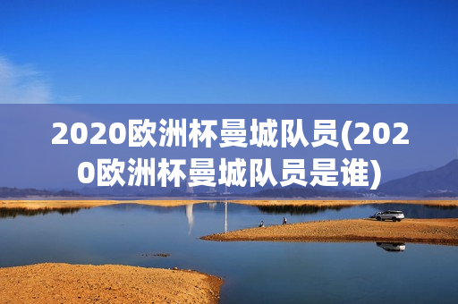 2020欧洲杯曼城队员(2020欧洲杯曼城队员是谁)