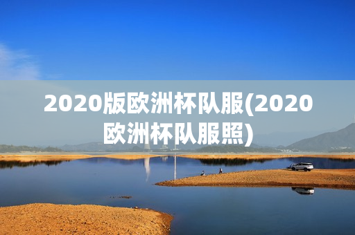 2020版欧洲杯队服(2020欧洲杯队服照)