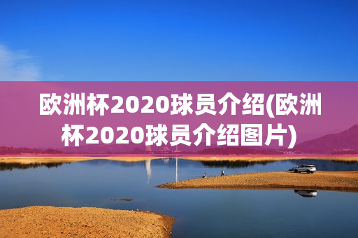 欧洲杯2020球员介绍(欧洲杯2020球员介绍图片)