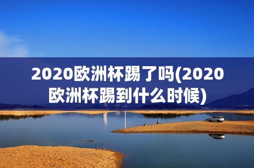 2020欧洲杯踢了吗(2020欧洲杯踢到什么时候)