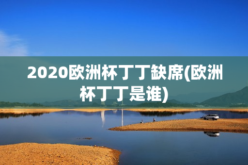 2020欧洲杯丁丁缺席(欧洲杯丁丁是谁)