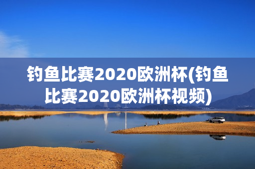 钓鱼比赛2020欧洲杯(钓鱼比赛2020欧洲杯视频)