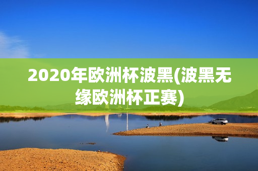 2020年欧洲杯波黑(波黑无缘欧洲杯正赛)