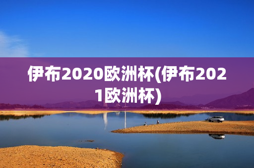 伊布2020欧洲杯(伊布2021欧洲杯)