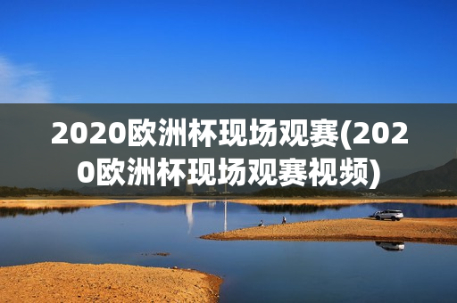 2020欧洲杯现场观赛(2020欧洲杯现场观赛视频)