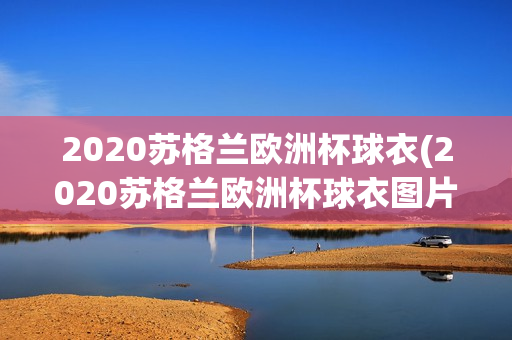 2020苏格兰欧洲杯球衣(2020苏格兰欧洲杯球衣图片)