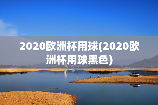 2020欧洲杯用球(2020欧洲杯用球黑色)