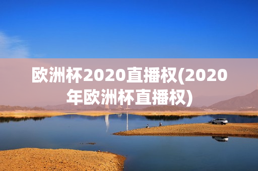 欧洲杯2020直播权(2020年欧洲杯直播权)