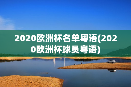 2020欧洲杯名单粤语(2020欧洲杯球员粤语)