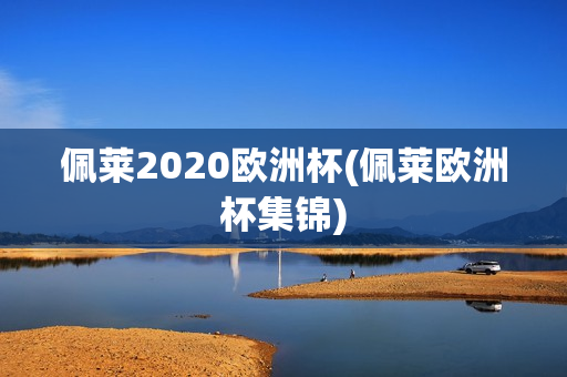 佩莱2020欧洲杯(佩莱欧洲杯集锦)