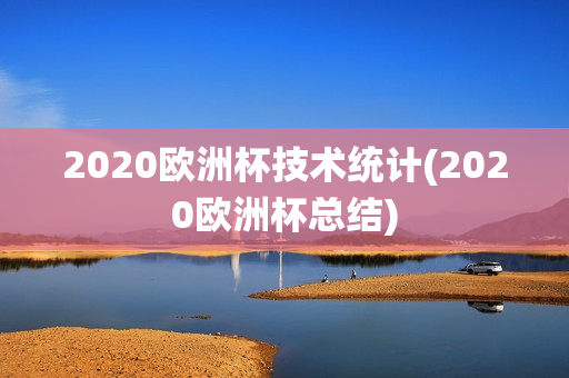 2020欧洲杯技术统计(2020欧洲杯总结)