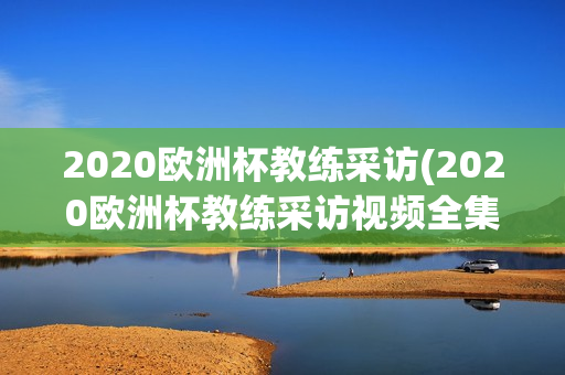 2020欧洲杯教练采访(2020欧洲杯教练采访视频全集)