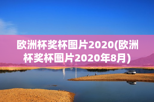 欧洲杯奖杯图片2020(欧洲杯奖杯图片2020年8月)