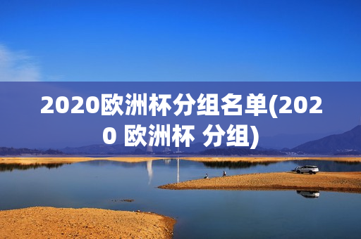 2020欧洲杯分组名单(2020 欧洲杯 分组)