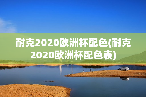 耐克2020欧洲杯配色(耐克2020欧洲杯配色表)