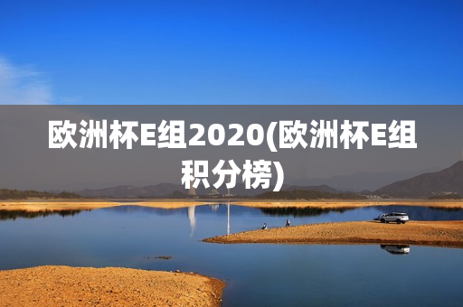 欧洲杯E组2020(欧洲杯E组积分榜)