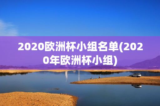 2020欧洲杯小组名单(2020年欧洲杯小组)