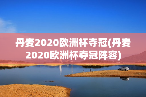 丹麦2020欧洲杯夺冠(丹麦2020欧洲杯夺冠阵容)