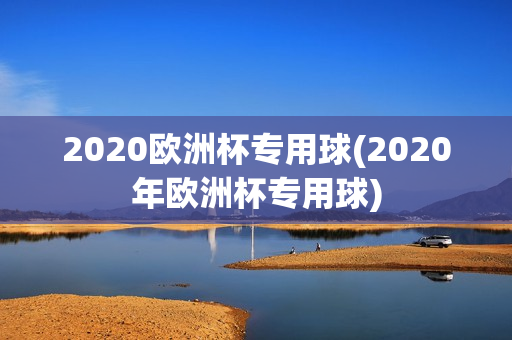 2020欧洲杯专用球(2020年欧洲杯专用球)