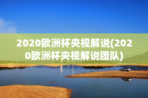 2020欧洲杯央视解说(2020欧洲杯央视解说团队)