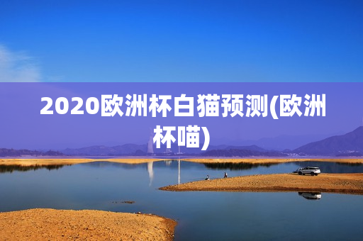 2020欧洲杯白猫预测(欧洲杯喵)