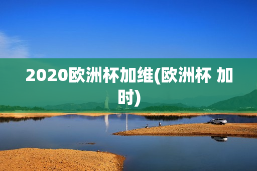 2020欧洲杯加维(欧洲杯 加时)