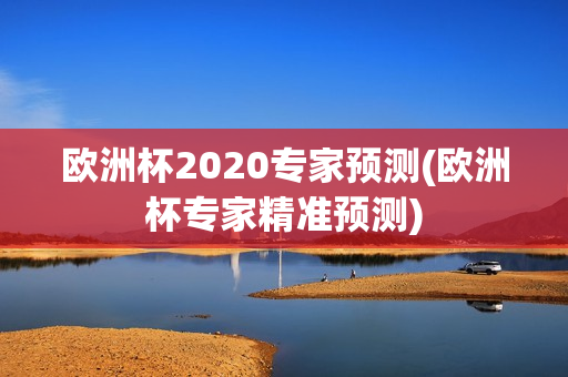 欧洲杯2020专家预测(欧洲杯专家精准预测)