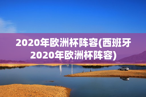 2020年欧洲杯阵容(西班牙2020年欧洲杯阵容)