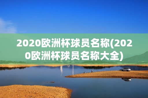 2020欧洲杯球员名称(2020欧洲杯球员名称大全)