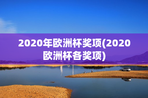 2020年欧洲杯奖项(2020欧洲杯各奖项)