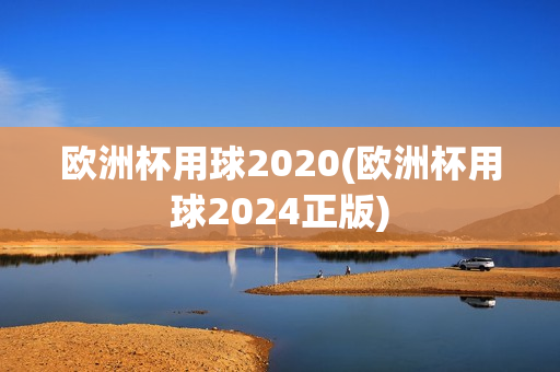 欧洲杯用球2020(欧洲杯用球2024正版)