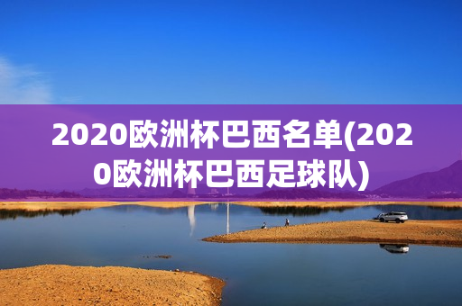 2020欧洲杯巴西名单(2020欧洲杯巴西足球队)