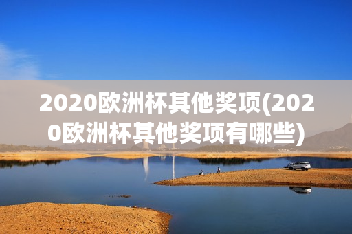 2020欧洲杯其他奖项(2020欧洲杯其他奖项有哪些)