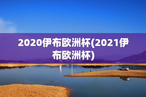 2020伊布欧洲杯(2021伊布欧洲杯)