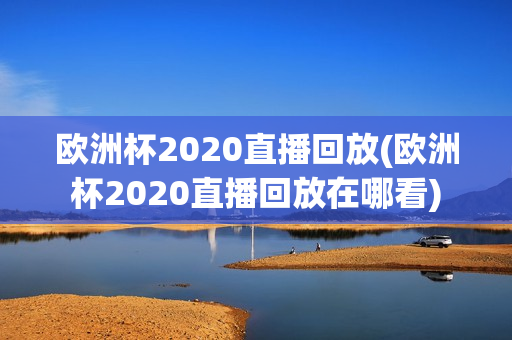 欧洲杯2020直播回放(欧洲杯2020直播回放在哪看)