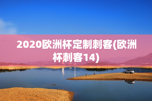 2020欧洲杯定制刺客(欧洲杯刺客14)