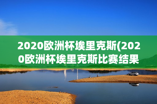 2020欧洲杯埃里克斯(2020欧洲杯埃里克斯比赛结果)