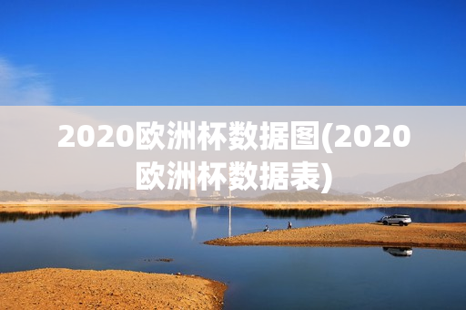 2020欧洲杯数据图(2020欧洲杯数据表)