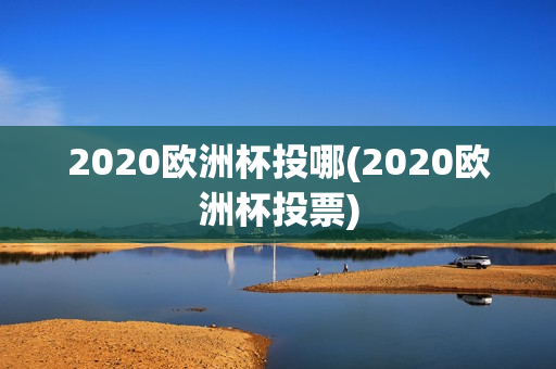 2020欧洲杯投哪(2020欧洲杯投票)