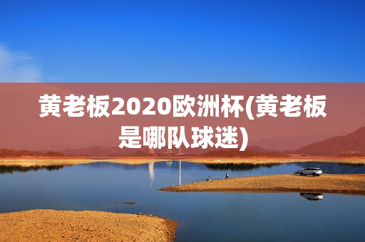 黄老板2020欧洲杯(黄老板是哪队球迷)