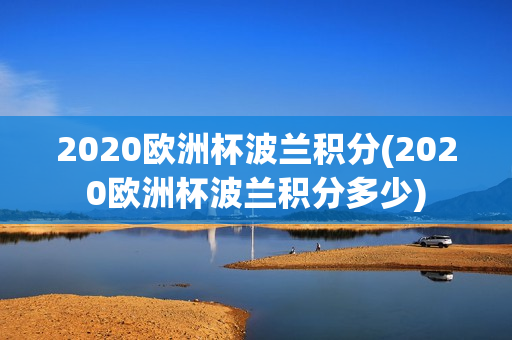 2020欧洲杯波兰积分(2020欧洲杯波兰积分多少)