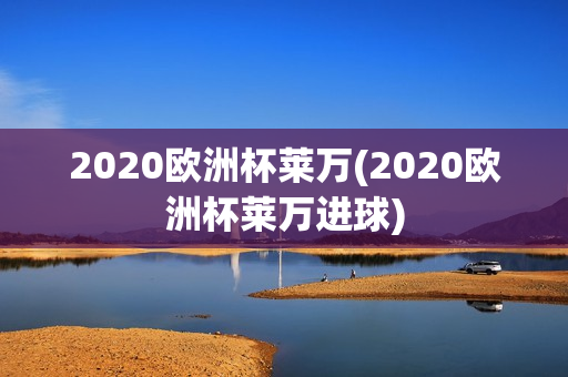 2020欧洲杯莱万(2020欧洲杯莱万进球)