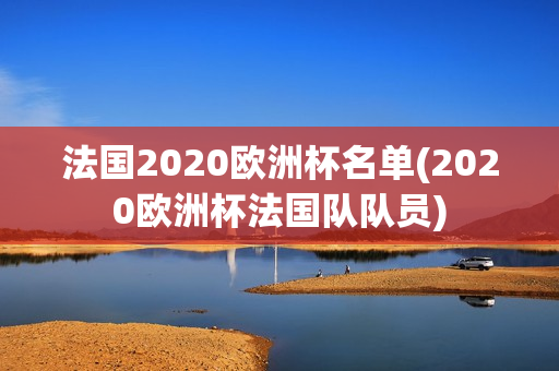 法国2020欧洲杯名单(2020欧洲杯法国队队员)