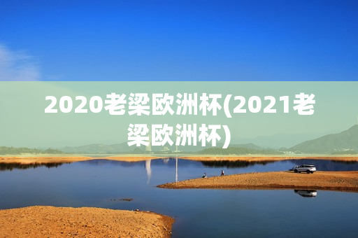 2020老梁欧洲杯(2021老梁欧洲杯)