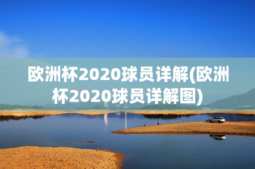 欧洲杯2020球员详解(欧洲杯2020球员详解图)